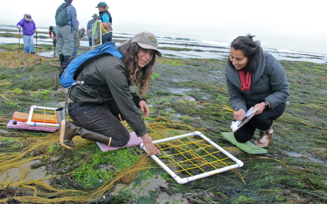 Hiring LiMPETS Marine Science Education Fellow