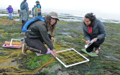 Hiring LiMPETS Marine Science Education Fellow