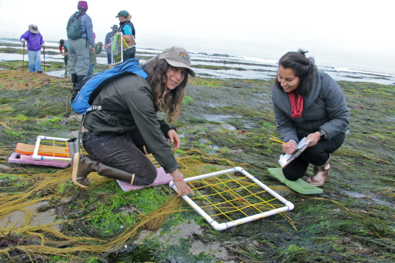 Hiring LiMPETS Marine Science Education Fellow
