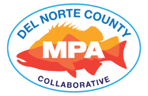 Del Norte Collaborative logo