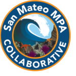 Getting to Know Your Seaweeds