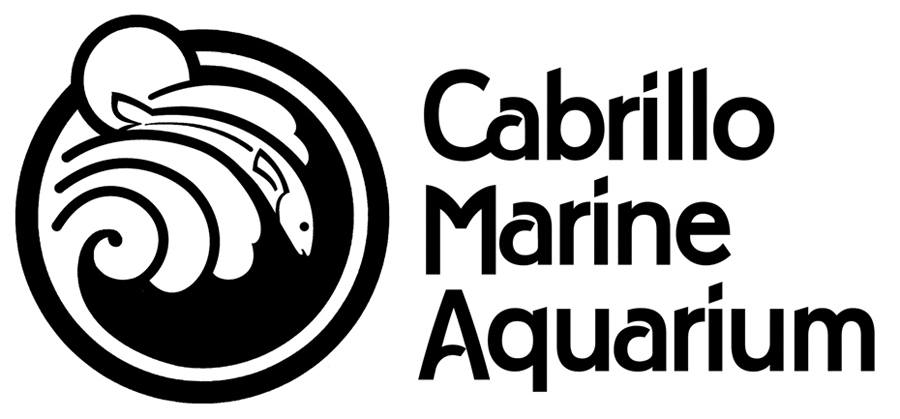 Underwater Parks Day Event by Cabrillo Marine Aquarium