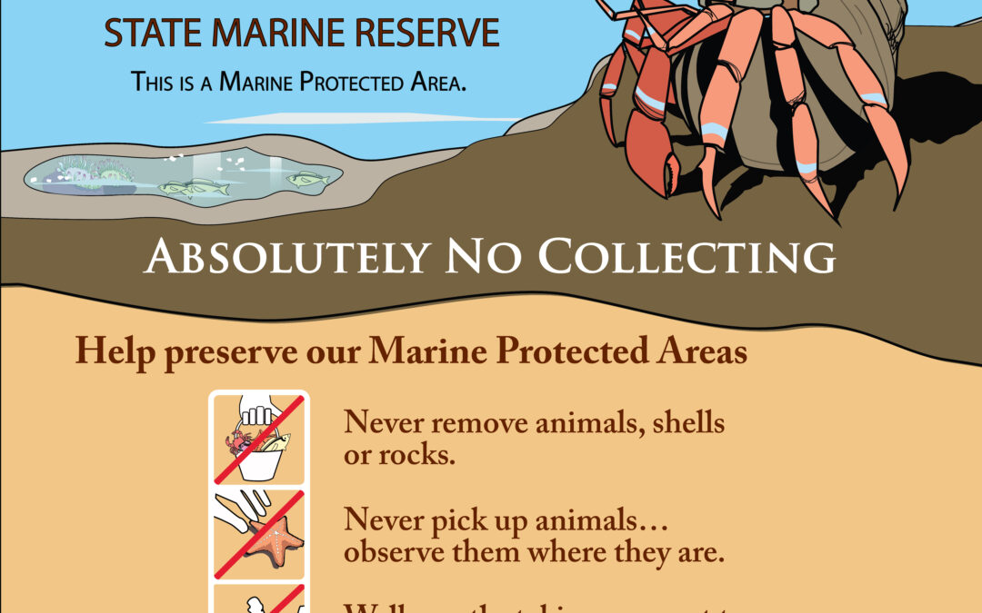 Good Tidepooler Rules (aka “Harry the Crab”) MPA Sign – Orange County