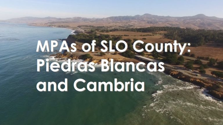San Luis Obispo: Piedras Blancas and Cambria