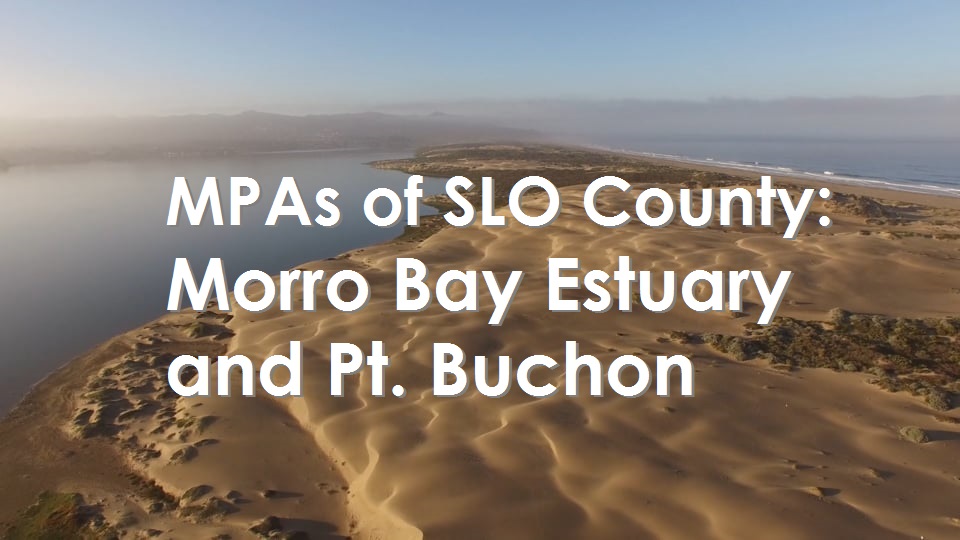 San Luis Obispo: Morro Bay Estuary and Pt. Buchon