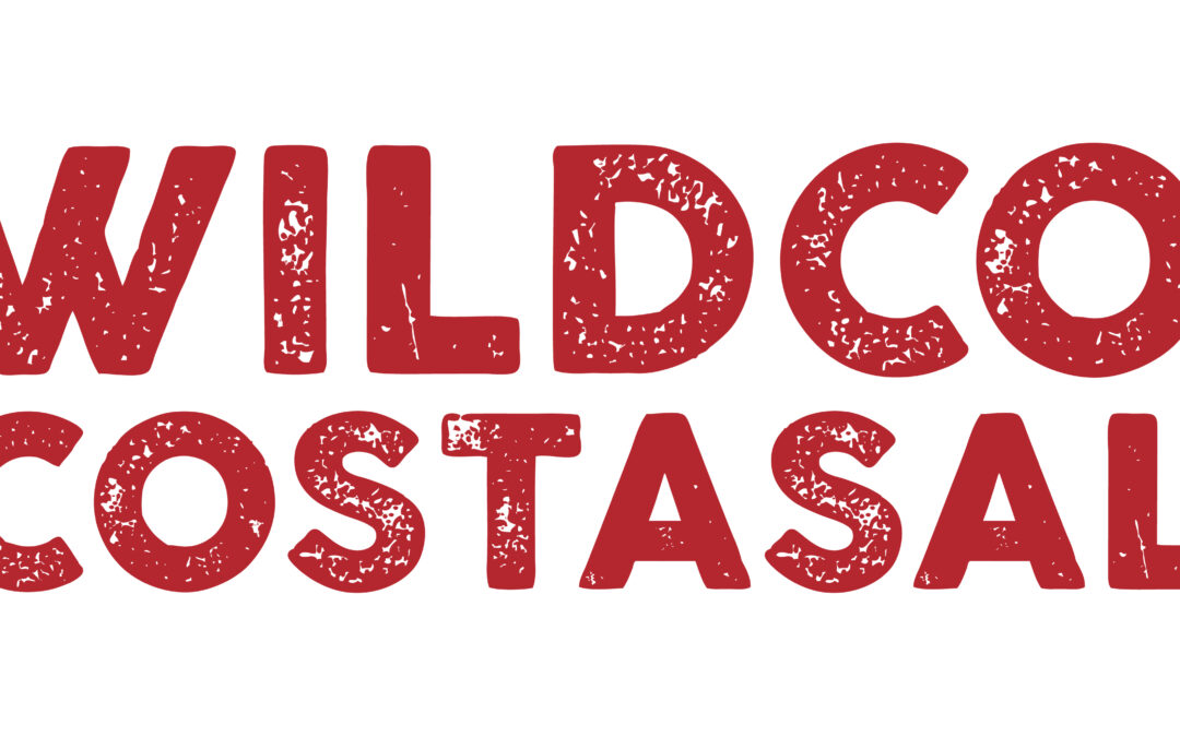 WILDCOAST’s Coastal Leaders Internship for Indigenous Youth in San Diego County – Deadline August 27