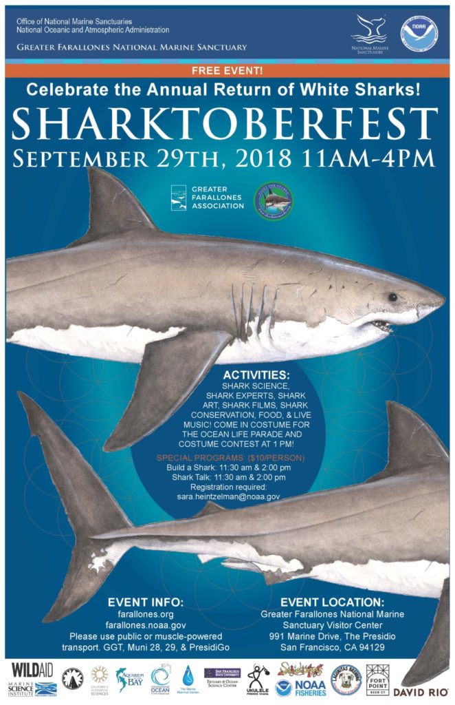 Sharktoberfest Flyer