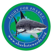 Sharktoberfest- Celebrating the White Sharks