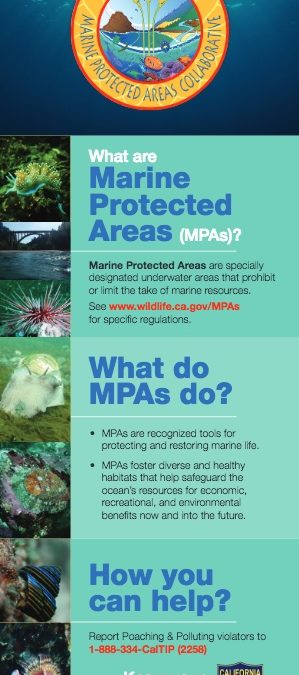 Mendocino County MPAs Brochure