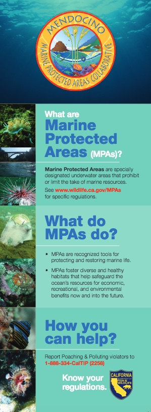 Mendocino MPA Brochure cover
