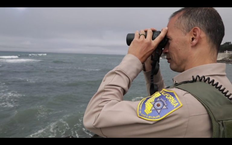 San Mateo: Montara State Marine Reserve