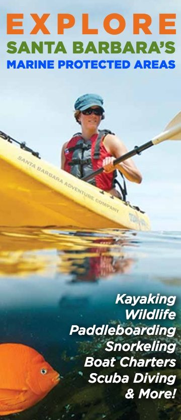Cover of the 