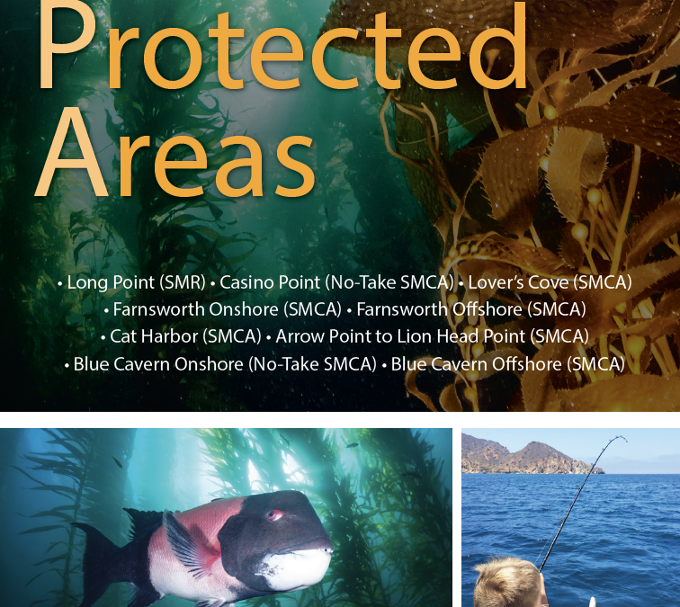 Catalina Island’s MPAs Brochure