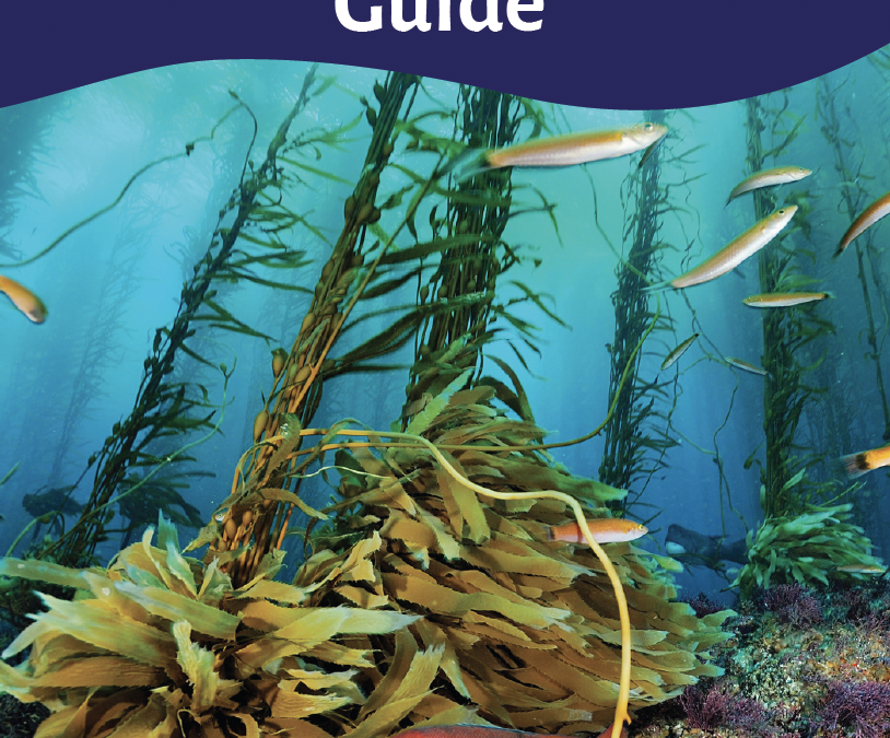 Fishing Guide for San Diego’s MPAs Brochure