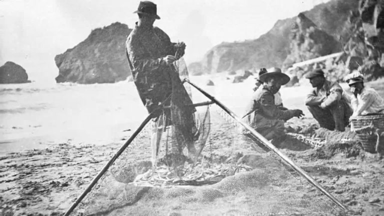 Humboldt/Del Norte: Northcoast Marine Protected Areas