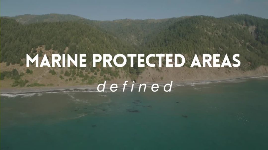 Humboldt/Del Norte: Marine Protected Area Science