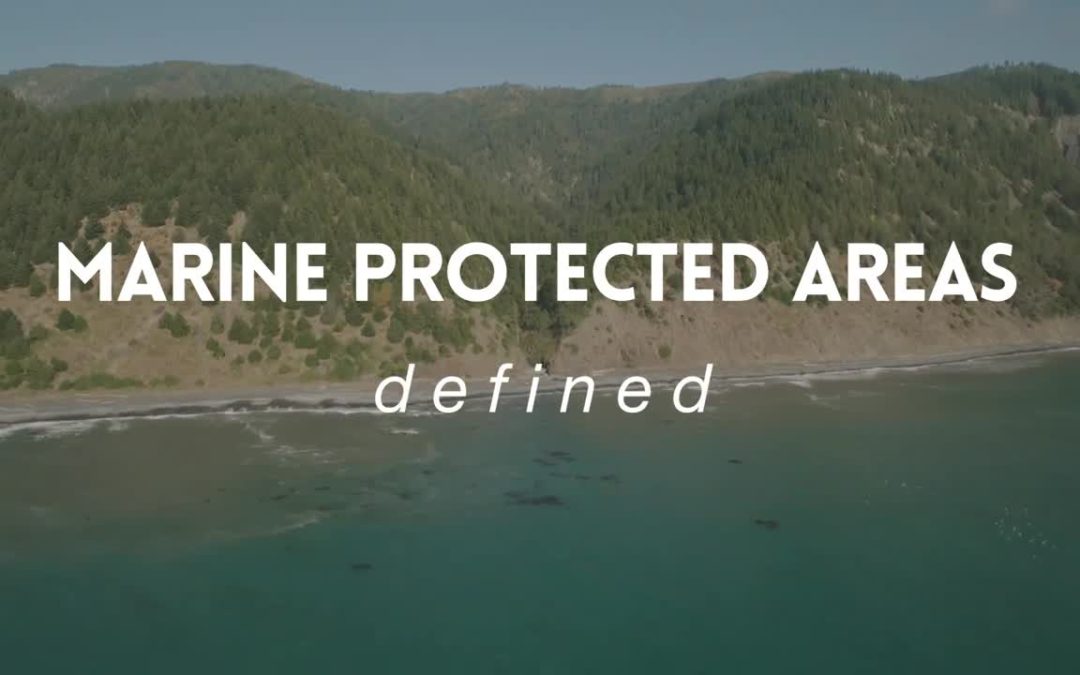 Humboldt/Del Norte: Marine Protected Area Science
