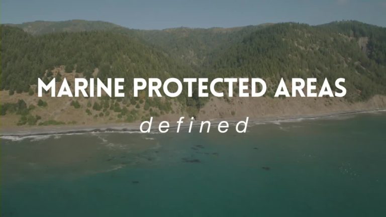Humboldt/Del Norte: Marine Protected Area Science