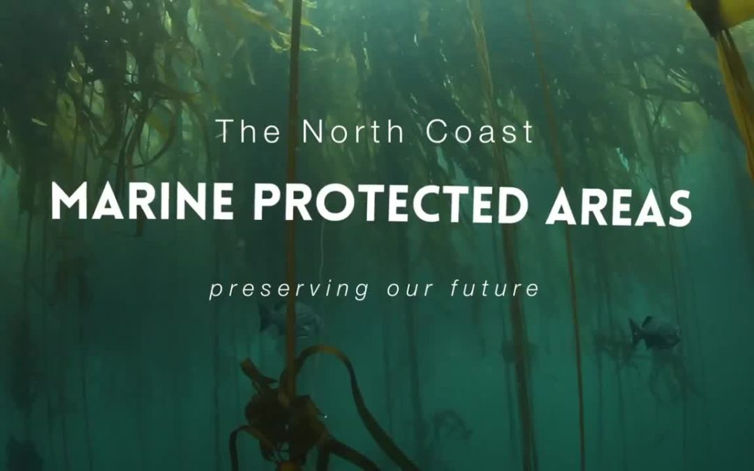 Humboldt/Del Norte: Marine Protected Areas – Youth Oriented