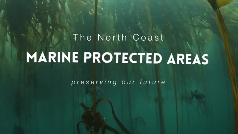 Humboldt/Del Norte: Marine Protected Areas – Youth Oriented