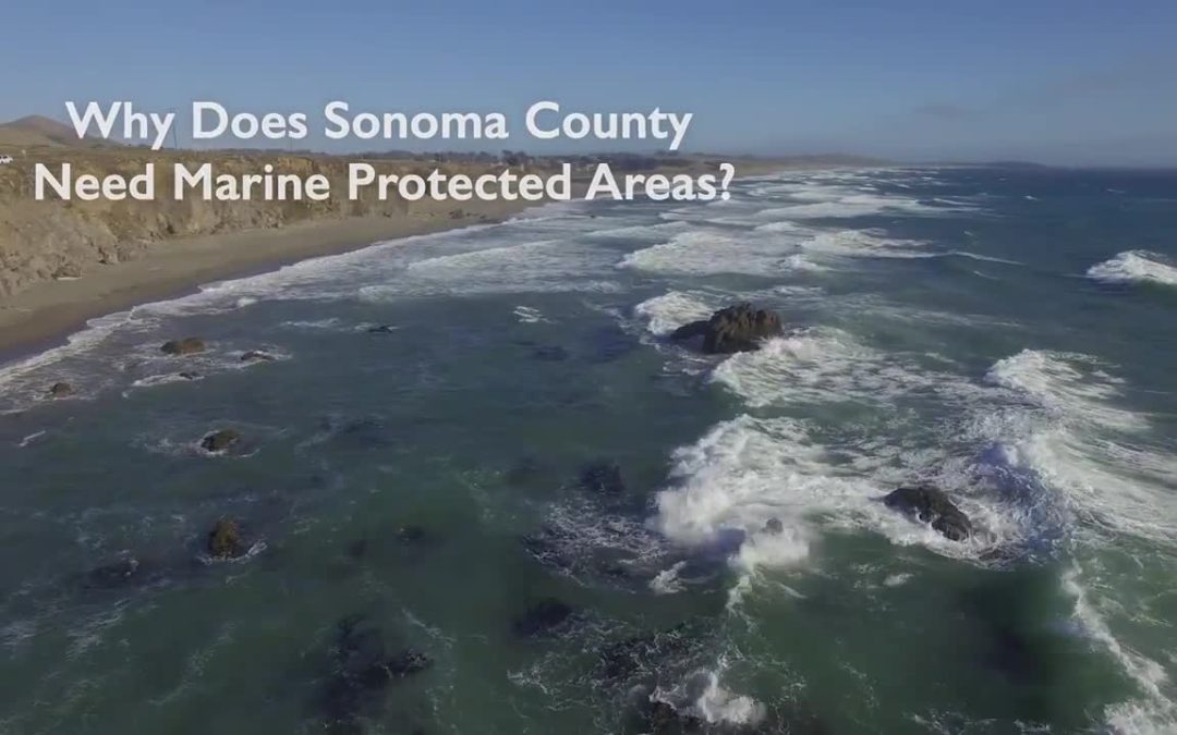 Sonoma: Marine Protected Areas PSA