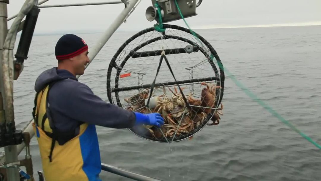 Sonoma: Fishing and Marine Protected Areas