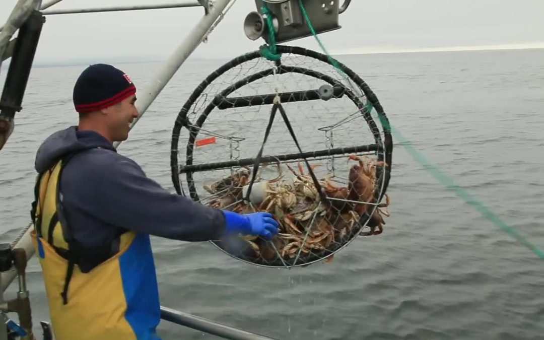 Sonoma: Fishing and Marine Protected Areas