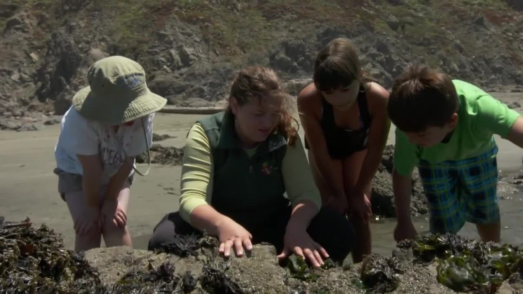Sonoma: Exploring the Tidepools of the Sonoma Coast