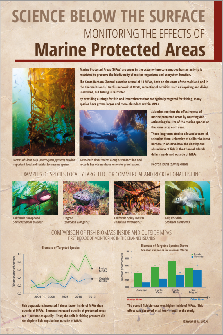 Coal Oil Point Reserve Exhibit Board “Science Below the Surface”