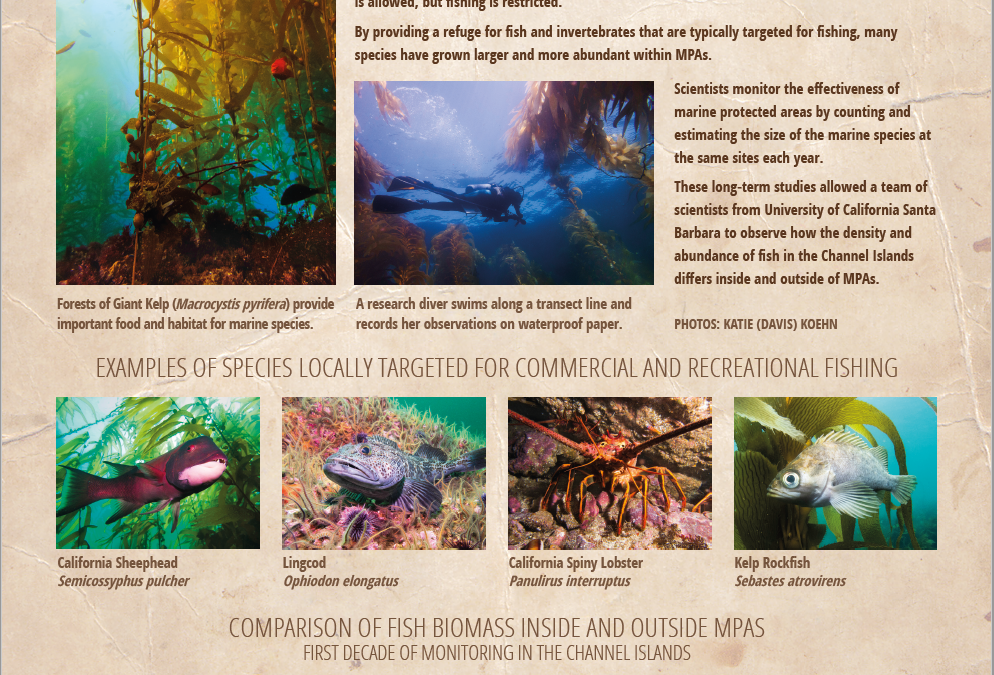 Coal Oil Point Reserve Exhibit Board “Science Below the Surface”