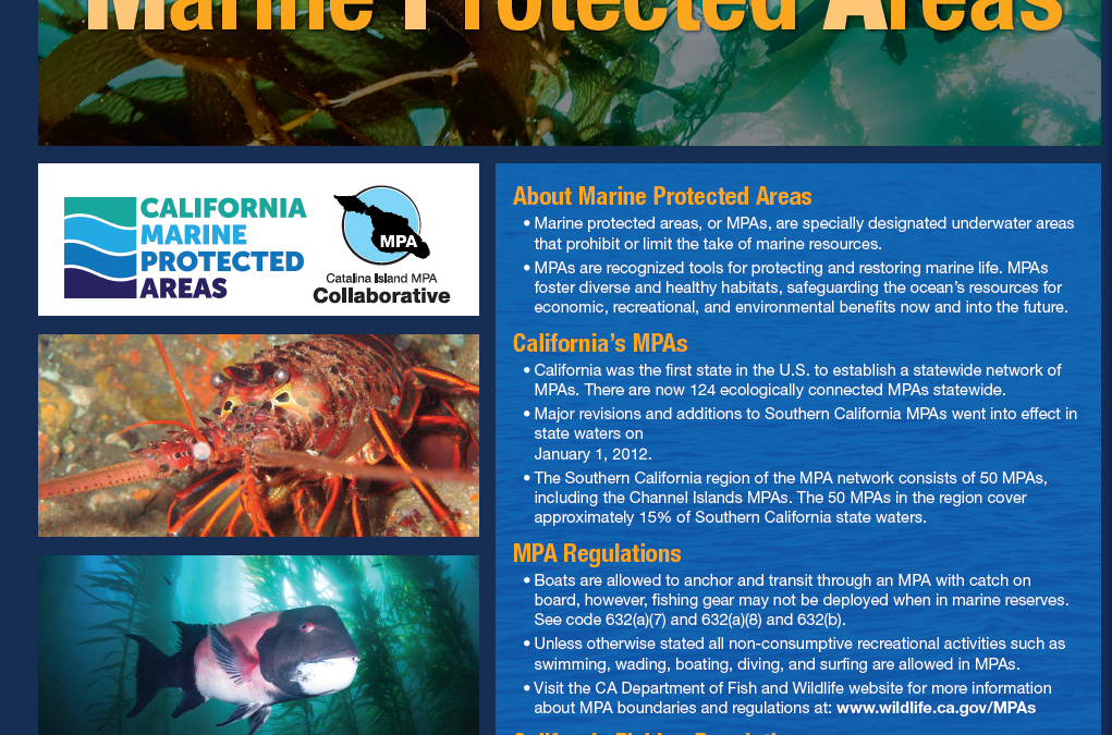 Catalina Island MPA Poster
