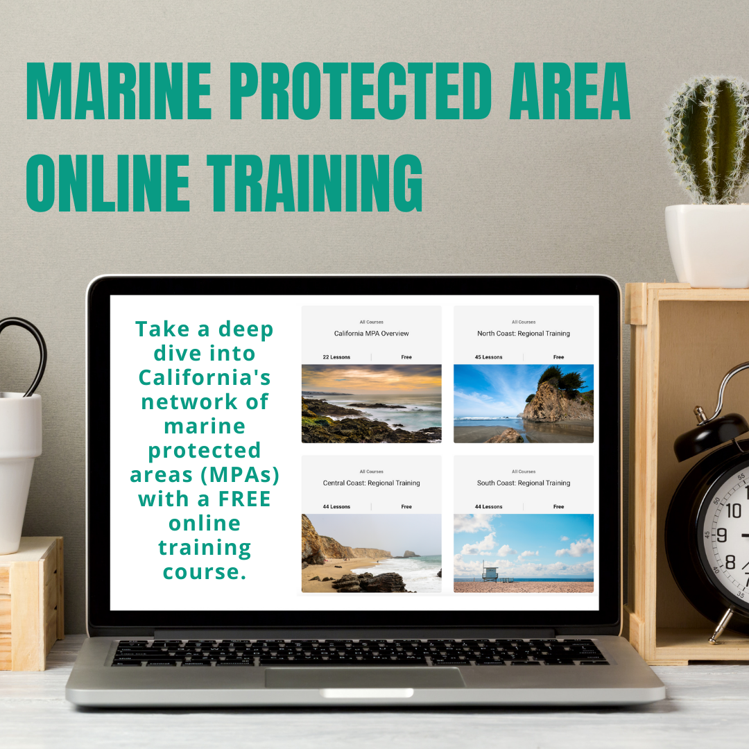 Online Marine Protected Area Training