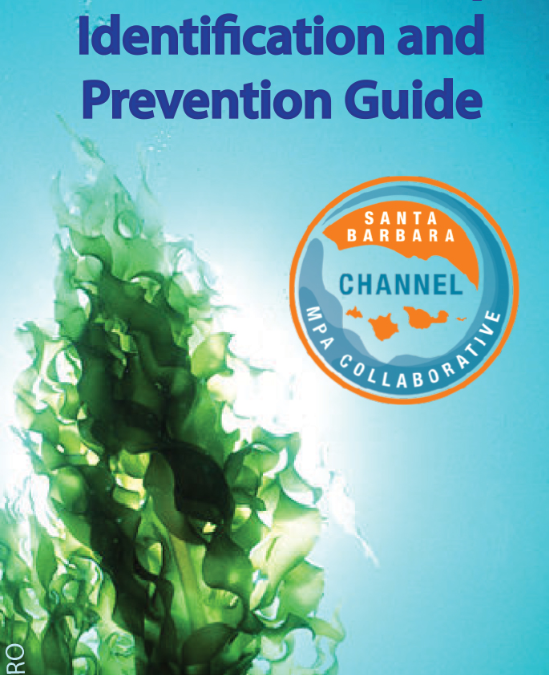 Invasive Algae Outreach Brochure
