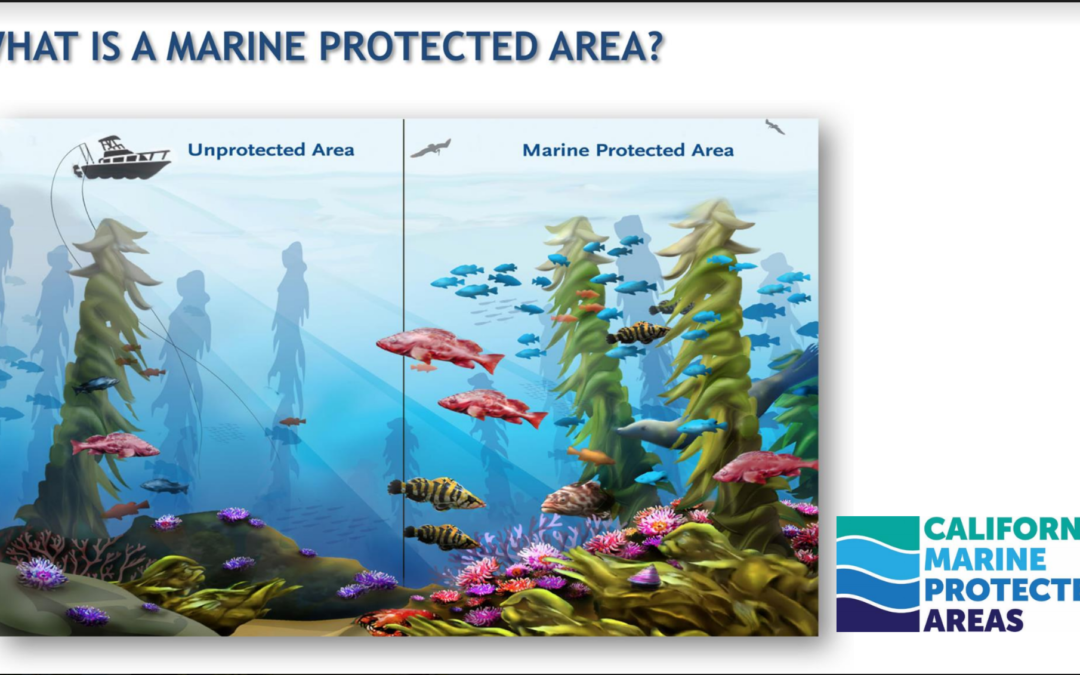 Kid’s Ocean Day Slides