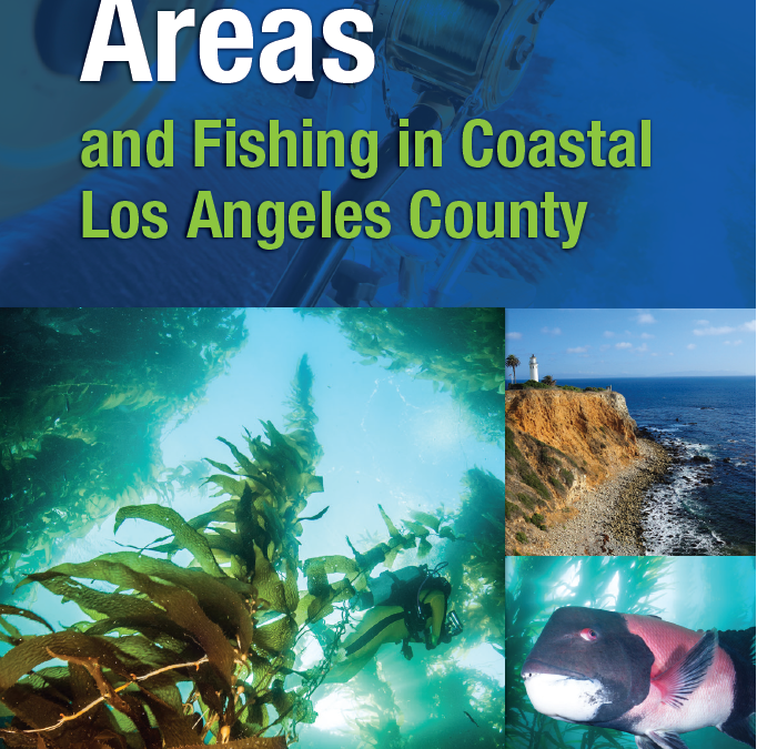LA County MPAs Brochure (English)