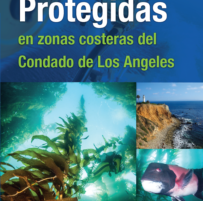 LA County MPAs Brochure (Spanish)