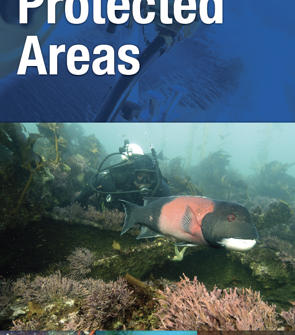 A Guide to Santa Barbara Channel’s MPAs