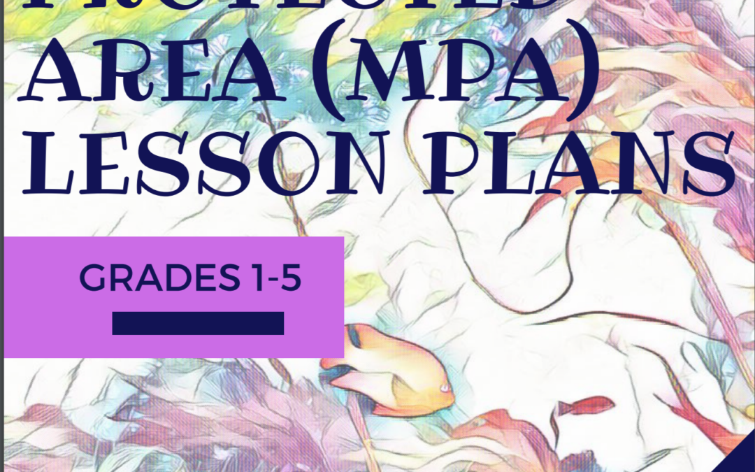 Rocky Intertidal: Desiccation Lab – Grades 1-5