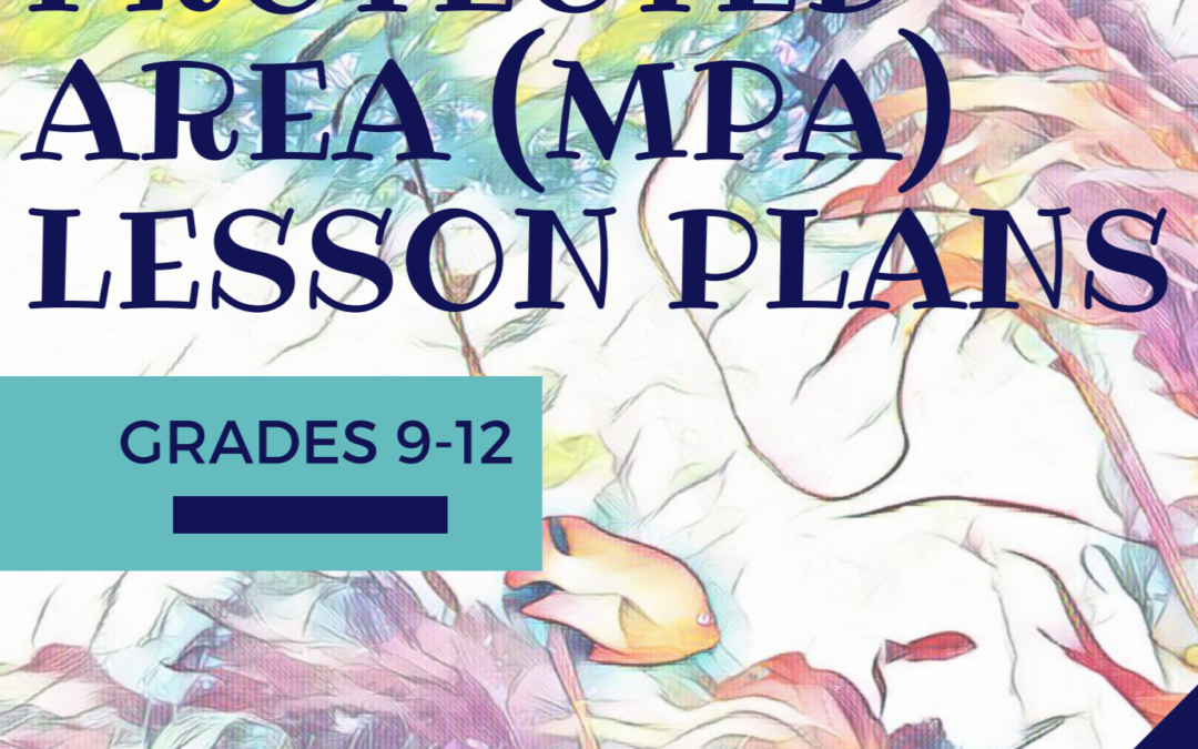 Sandy Shore: MPA Watch – Grades 9-12