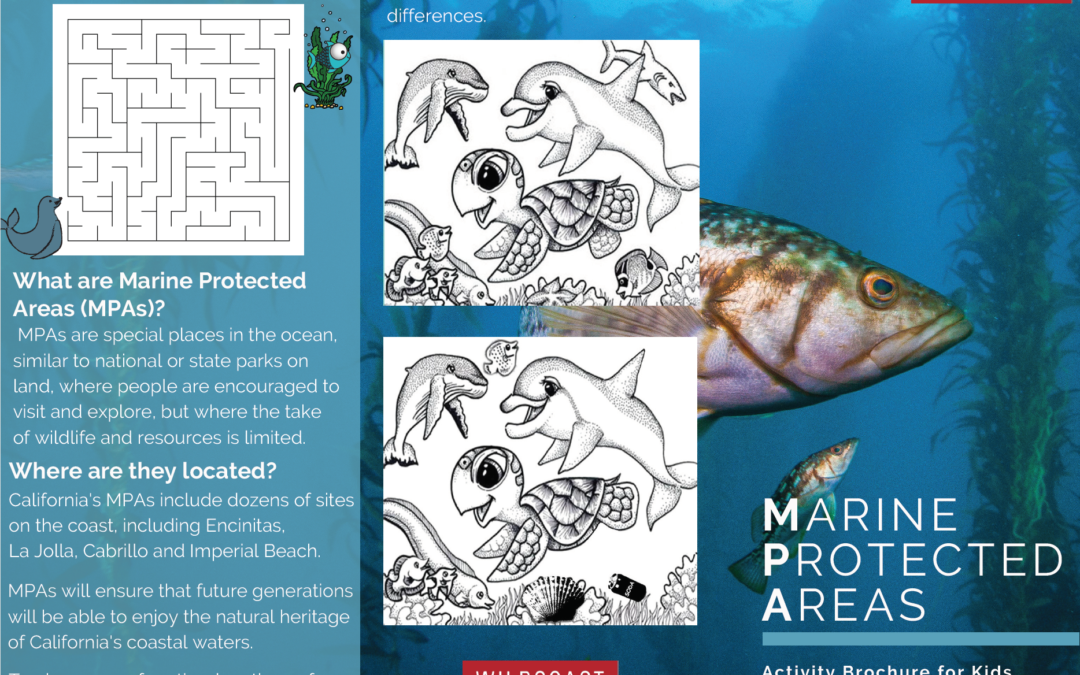 MPA Activity Brochure for Kids