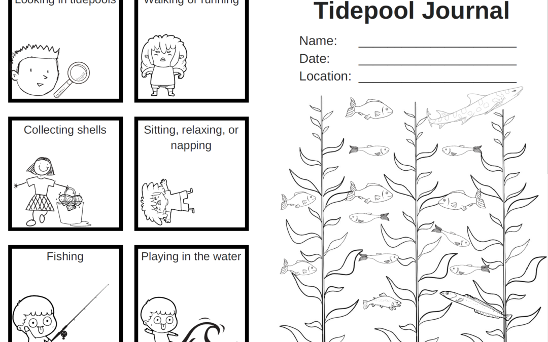 MPA Tidepool Journal