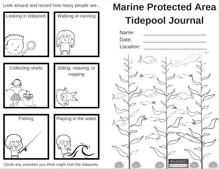 MPA Tidepool Journal