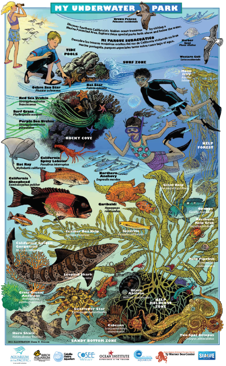 Underwater Parks Posters
