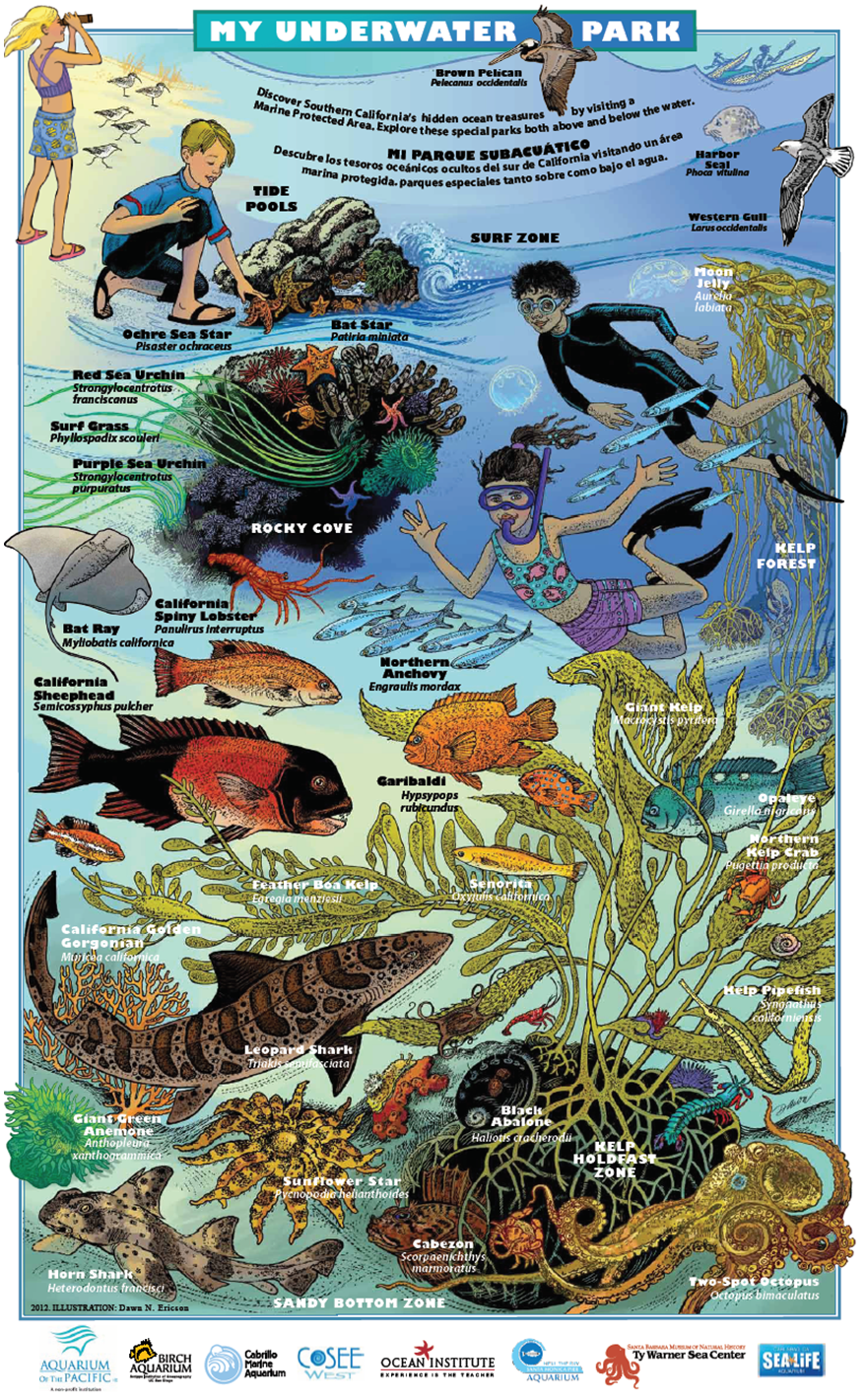 Underwater Parks Posters