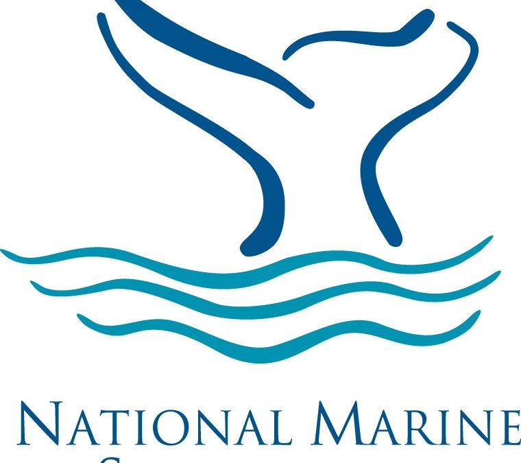 Beach Watch Surveyors Needed! Become a Sanctuary Volunteer and Steward of our Coast