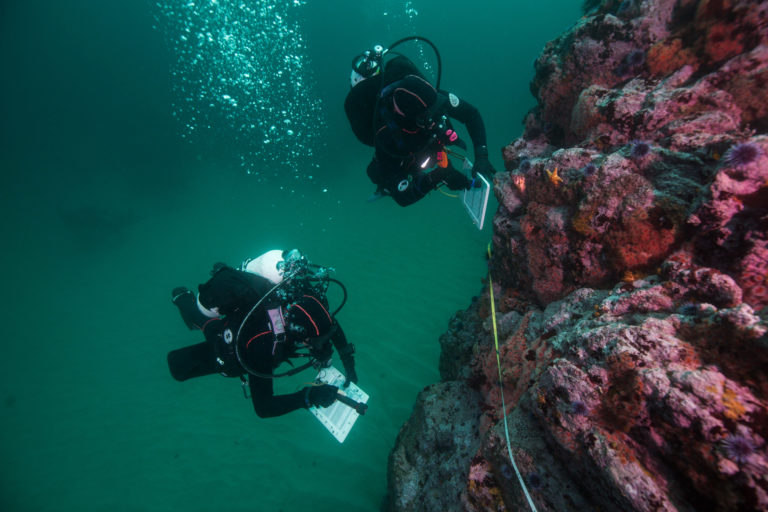 Applying a Climate Change Lens to California’s MPA Network