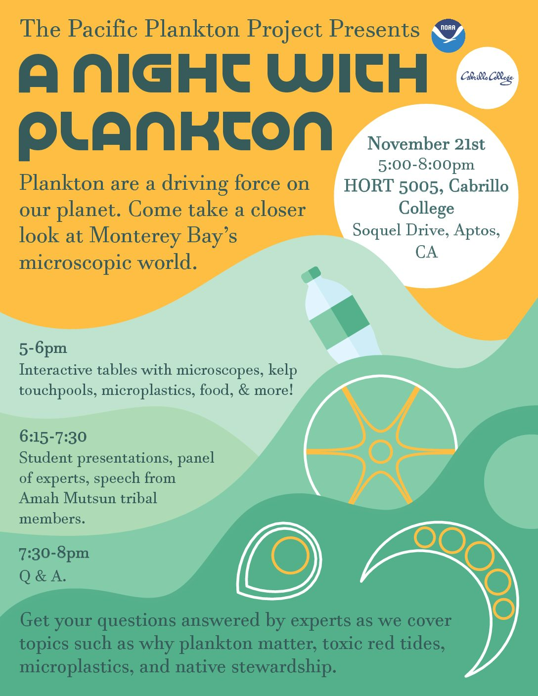 A Night with Plankton