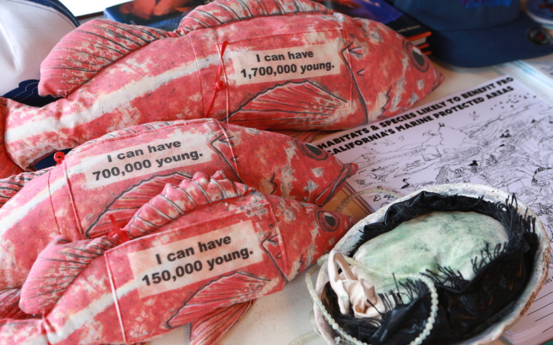 Stay home, save lives, and stay busy with these resources