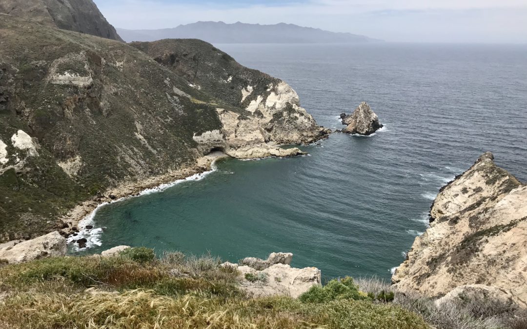 A Story of Homecoming