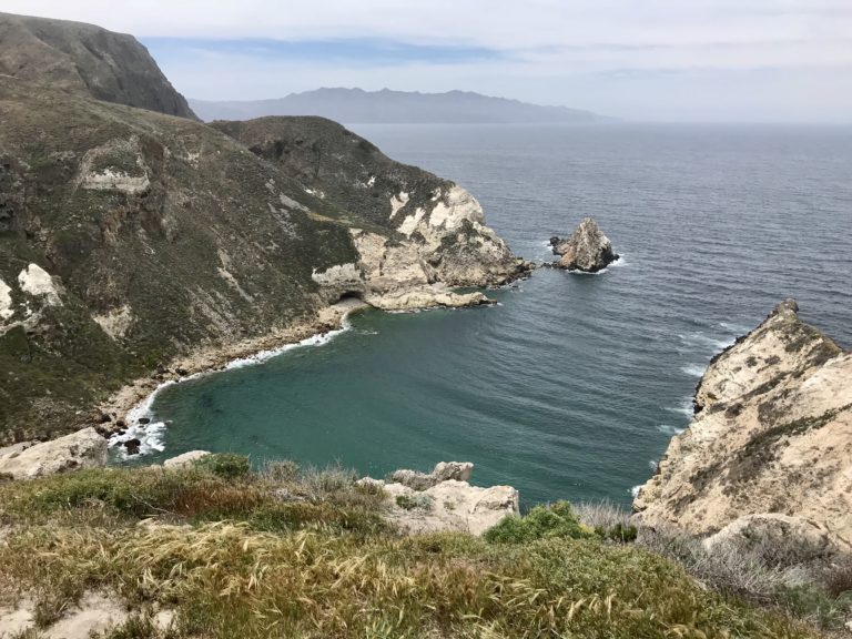 A Story of Homecoming